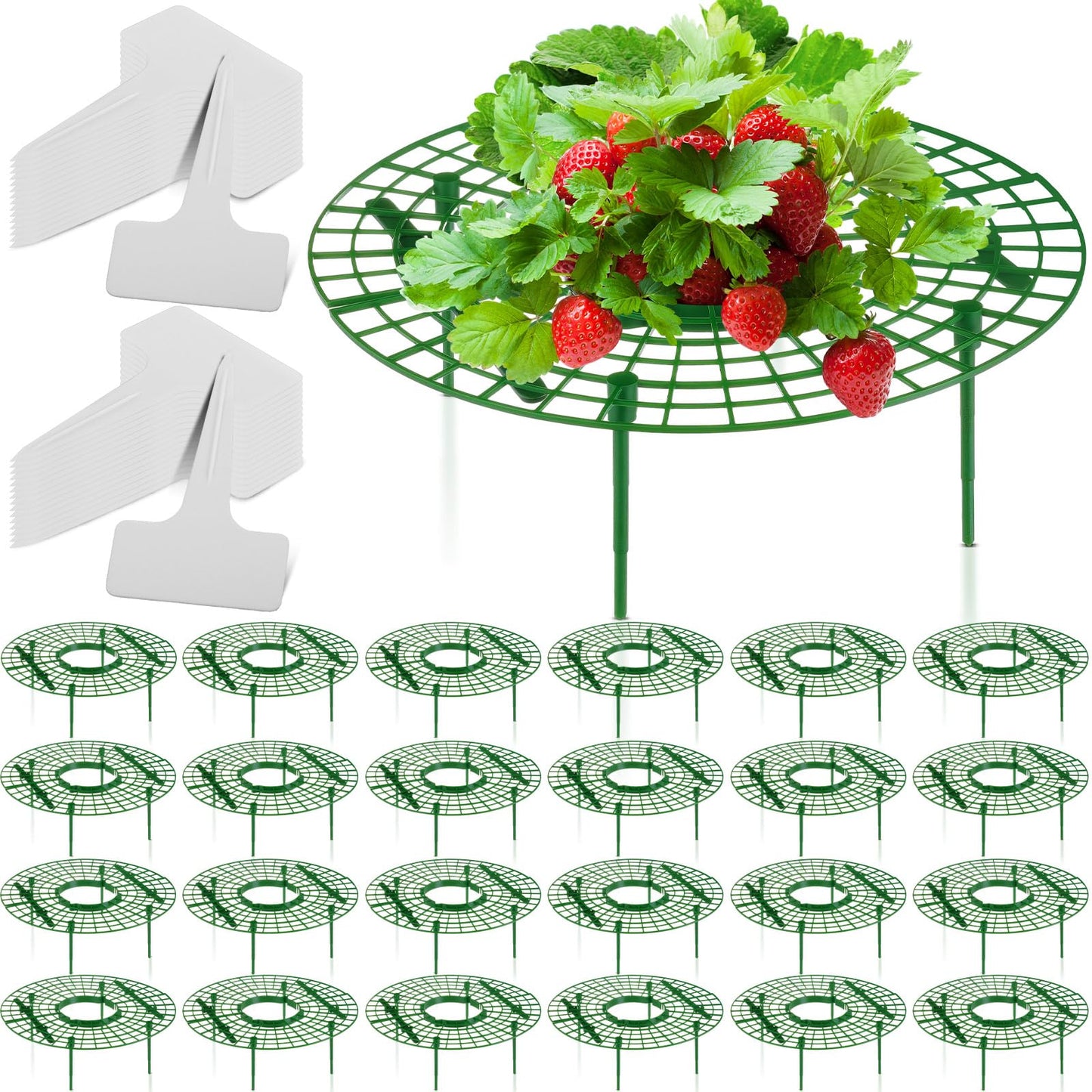 Irenare 24 Pack Strawberry Plant Support with Plant Labels Large Size Strawberry Growing Racks Growing Frame Stand Holder for Keeping Garden Strawberry Clean