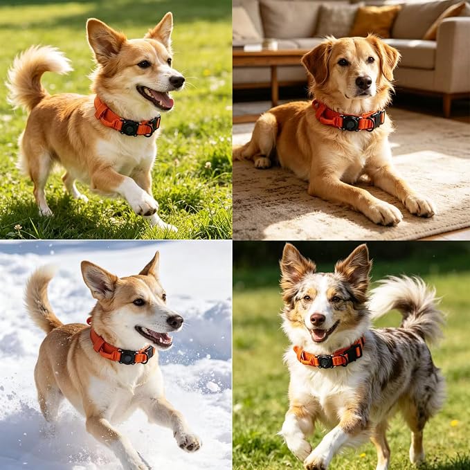 Upgraded AirTag Dog Collar,Waterproof Tactical Dog Collar with AirTag Holder, Control Handle and Metal Buckle,Heavy Duty Dog Collars for Large Dogs(Orange，XXL