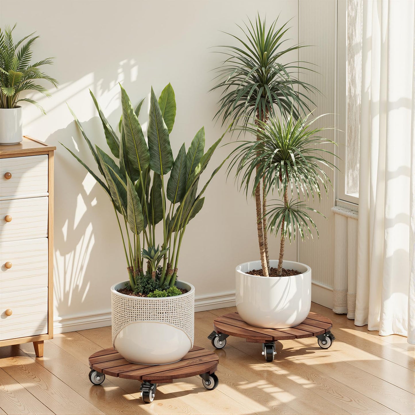 2pack Wood Plant Caddy With Wheels Heavy Duty Red Brown, 264 Lbs Capacity, 12 Inch Acacia Hardwood Plant Roller, Plant Stand with 360° Lockable Wheels, Plant Caster for Heavy Objects Hauling