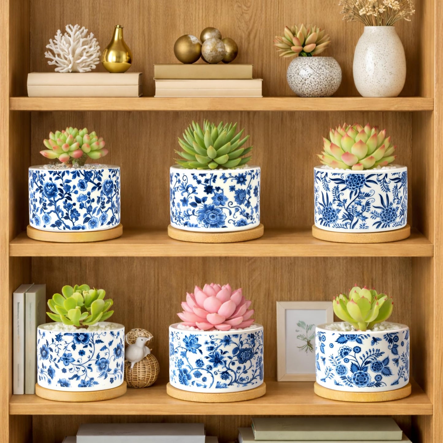 Succulent Pots, 6PCS Small Pots for Plants with Drainage & Saucers, 3.1 Inch Ceramic Flower Planters for Indoor Plants, Decorative Planters for Succulent Cactus, Home, Office, Desk