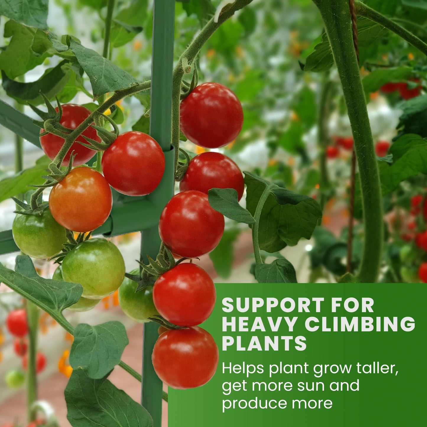 Tomato Cage Square - Large Trellis Stakes and Plant Support Structures for Vegetables and Climbing Plants - Tall Tomato Cages for Garden, Pots, Raised Garden Bed Outdoor Supplies
