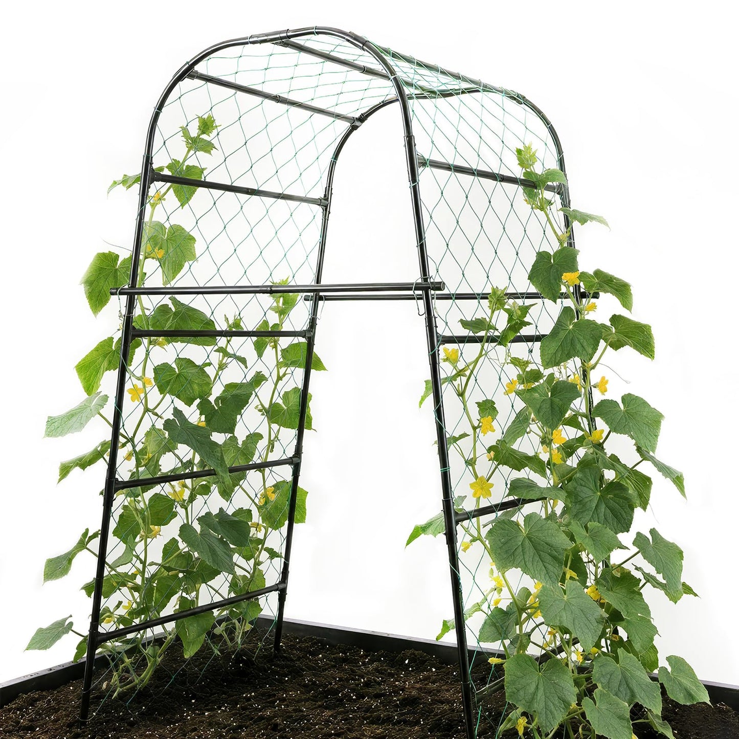 PHENEAHILL Extra Tall Garden Arch Trellis for Cucumber, Heavy-Duty Rust-Resistant Powder-Coated Steel, Vertical Support for Large Vining Vegetables (47”W x 79”H)