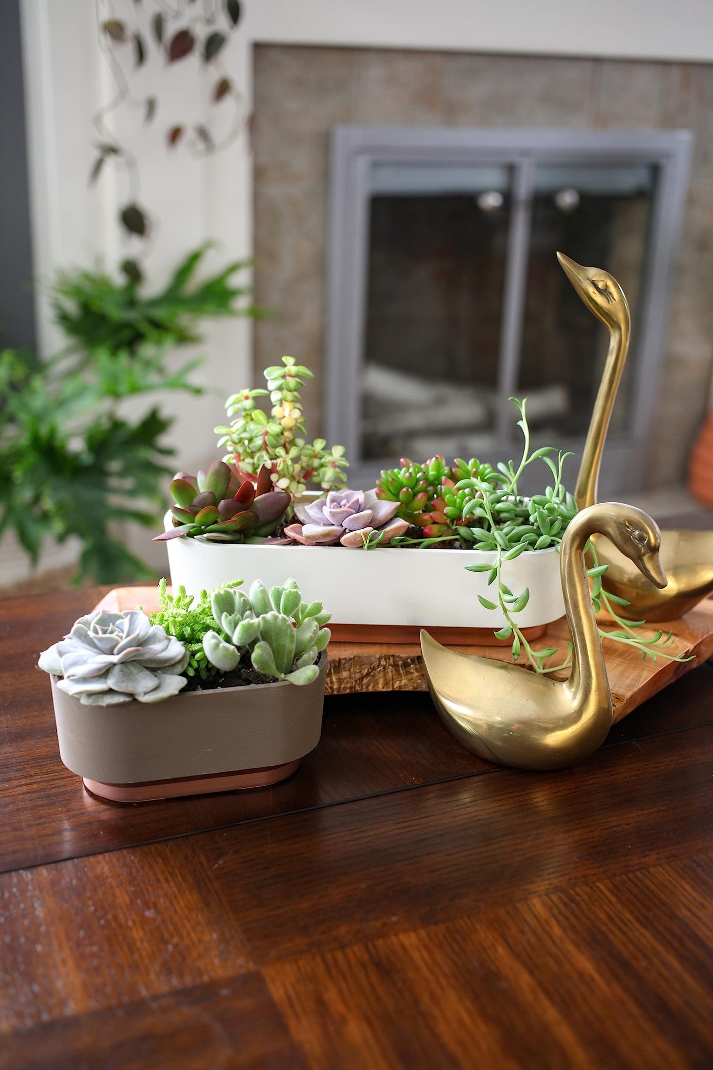 The HC Companies 9.5 Inch Sorrento Succulent Pot - Lightweight Indoor Plastic Succulent Planter with Drainage, Artisan Taupe (Pack of 2)