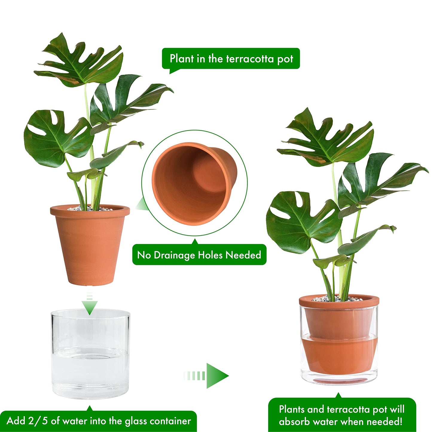D'vine Dev 6 Inch Design Self Watering Pot for Indoor Plants, Terracotta Planter with Cylinder Glass Cup, Set of 2, 37-Y-B-1
