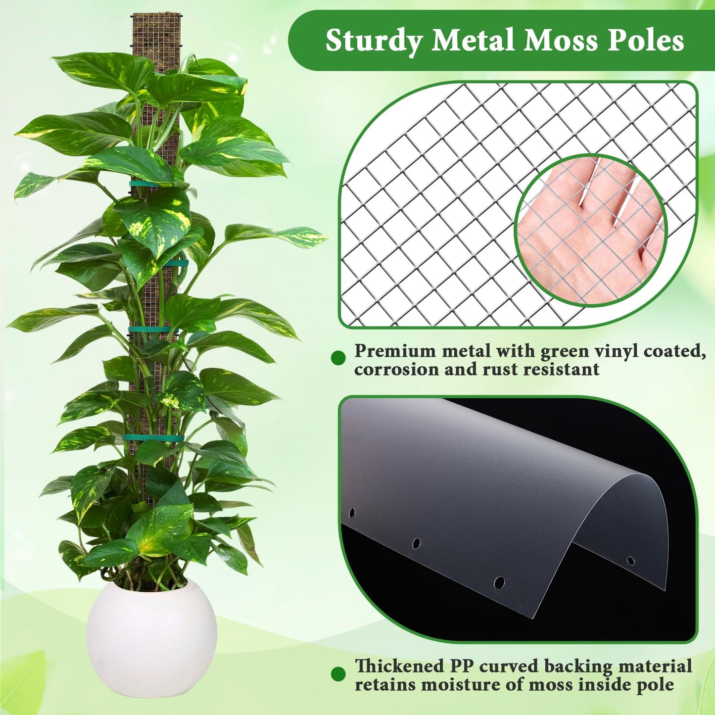 24"+40"+60" Metal Moss Pole - 6 Pack D Shape Sphagnum Moss Pole, Moss Poles for Climbing Plants, Monstera, Climbing Plants Indoor
