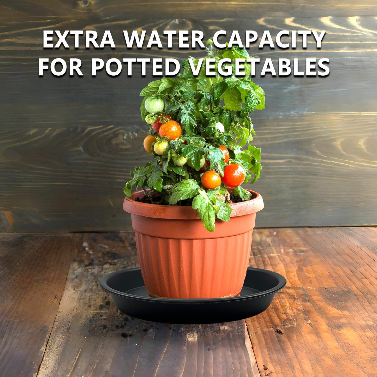 Garrdeen 6 Pack 12-Inch Black Plant Saucer Trays, Thick PP Plastic Planter Bases for Large Pots, Strong Flower Pot Water Catcher Plates & Heavy Duty Drip Trays for Patio and Indoor Use