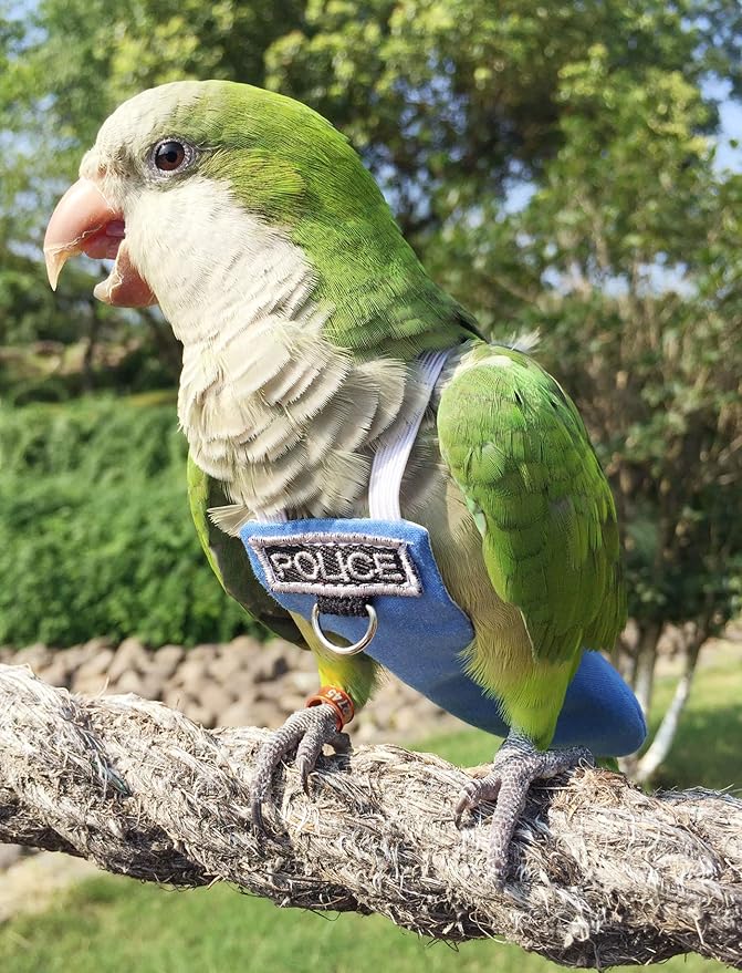 Bird Clothes Parrot Diapers Flight Suits, Reusable Waterproof Diapers for Pet Birds (3XL)