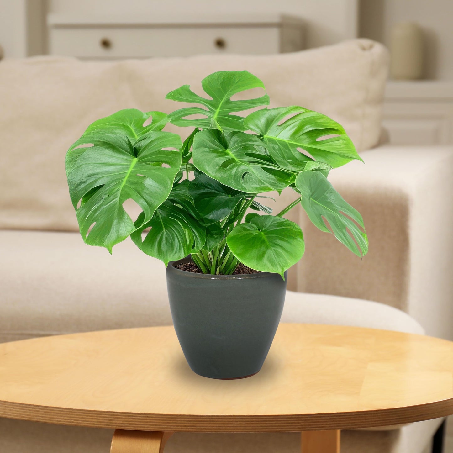 Sunnydaze Resort Round Ceramic Planter - Set of 2 Indoor or Outdoor Plant Pots with Drainage Hole - 8" - Gray Glaze