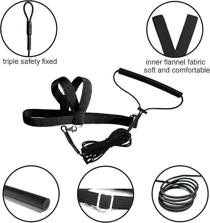 Pet Parrot Bird Harness Leash Adjustable Bird Flying Harness Traction Rope with Cute Wing for Parrots Pigeons Budgerigar Lovebird Cockatiel Mynah Outdoor Training Toy (Black,S)