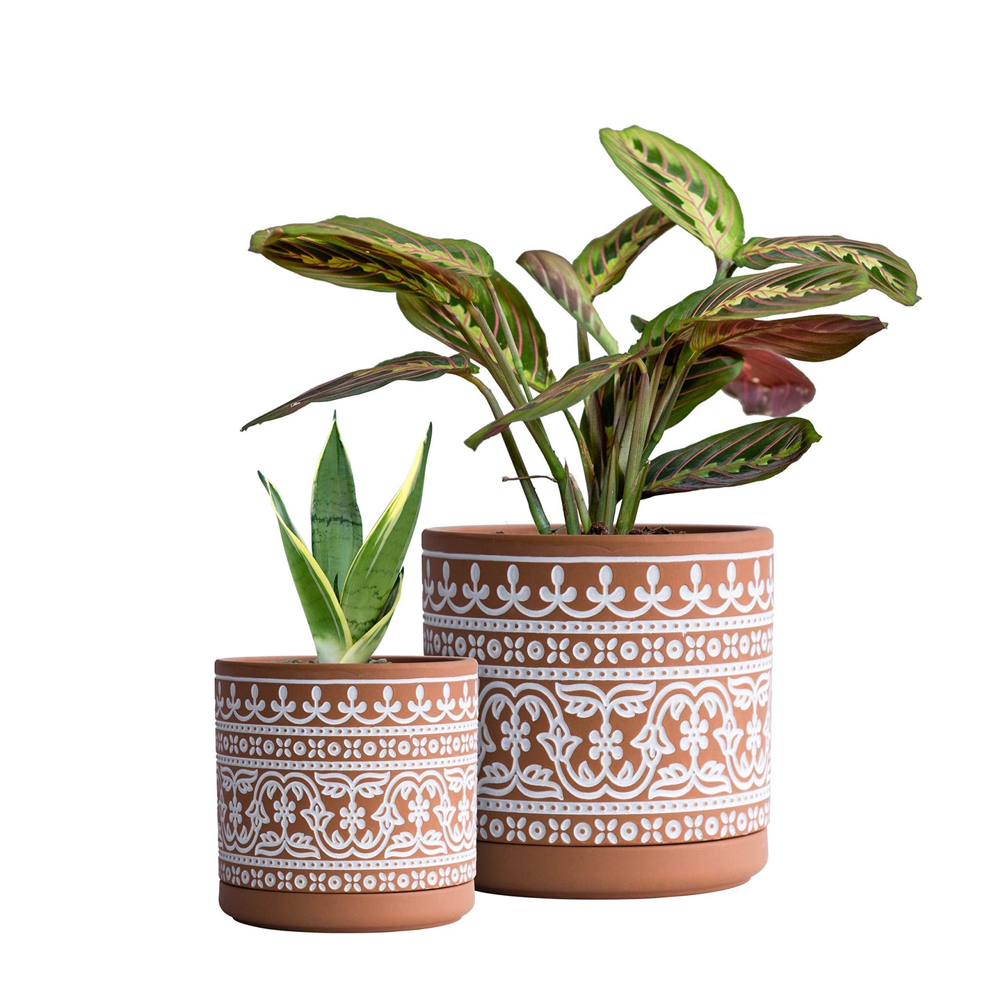 D'vine Dev Set of 2 Terracotta Pots, Wave Pattern Planter Pot, 4 Inch and 6 Inch, Pot with Drainage Hole and Saucer, Terracotta/White, 31-958-F-1