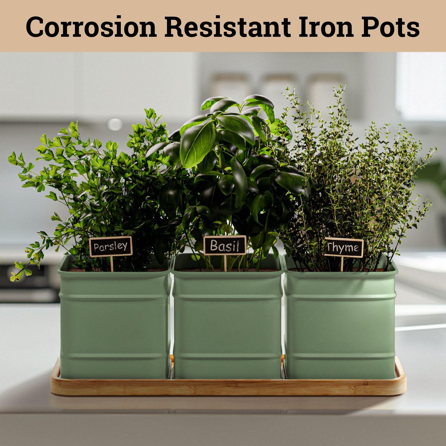 Herb Planter Indoor - 3 Iron Herb Pots with Drainage Holes, Varnished Bamboo Tray, Customizable Labels & Marker Pen - Indoor Herb Garden Planter - 3 Pots for Herbs - Inside Spice Garden - Basil Pot
