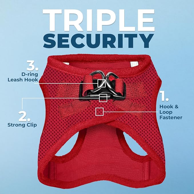 Best Pet Supplies Voyager Step-in Air All Weather Mesh Harness and Reflective Dog 5ft Leash Combo with Neoprene Handle, for Small, Medium and Large Breed Puppies - Red, XXX-Small