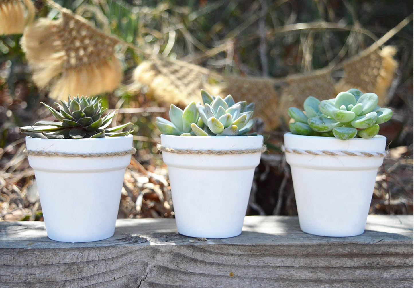 40 Pcs White Terracotta Pot - 2.5 Inch Mini Clay Pots with Drainage Holes Flower Nursery Terra Cotta Pots for Succulent Plants, Crafts, Wedding Baby Shower Favor