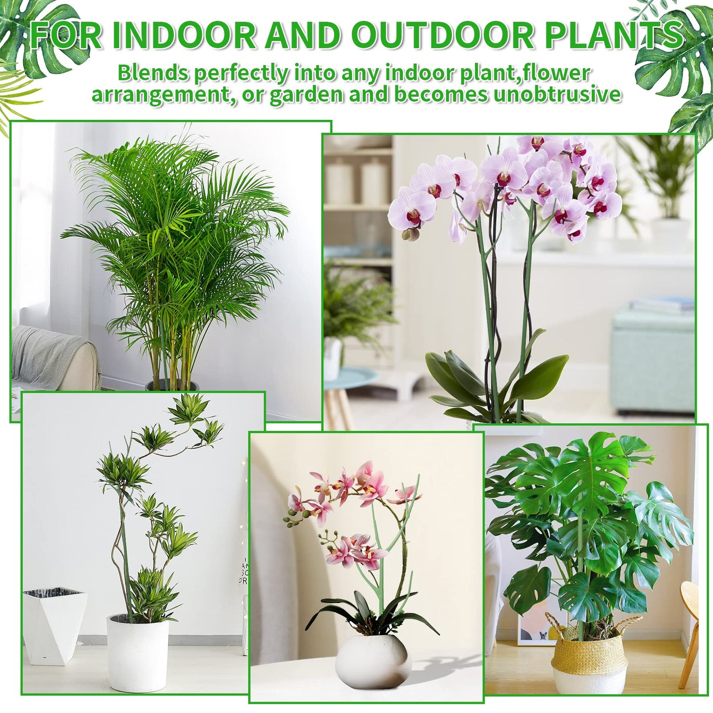 ROADPLUM 6 Pack 27.56" Detachable Twig Plant Support Stakes Set, Blends in to Plant, Branch Plant Sticks with Orchid Clips Twist Plant Ties, Twig Trellis for Indoor Outdoor Plants Potted Plants Flower