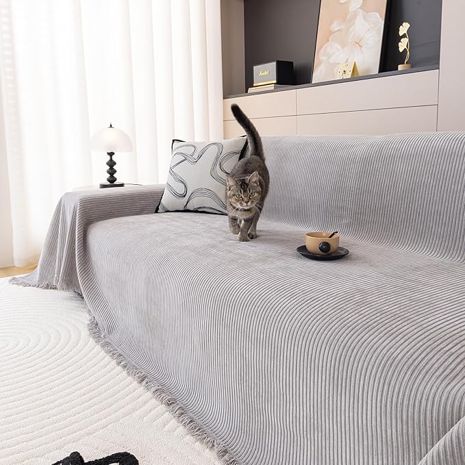 DREAMINGO Modern Minimalist Sofa Covers Washable Pet Furniture Protector Couch