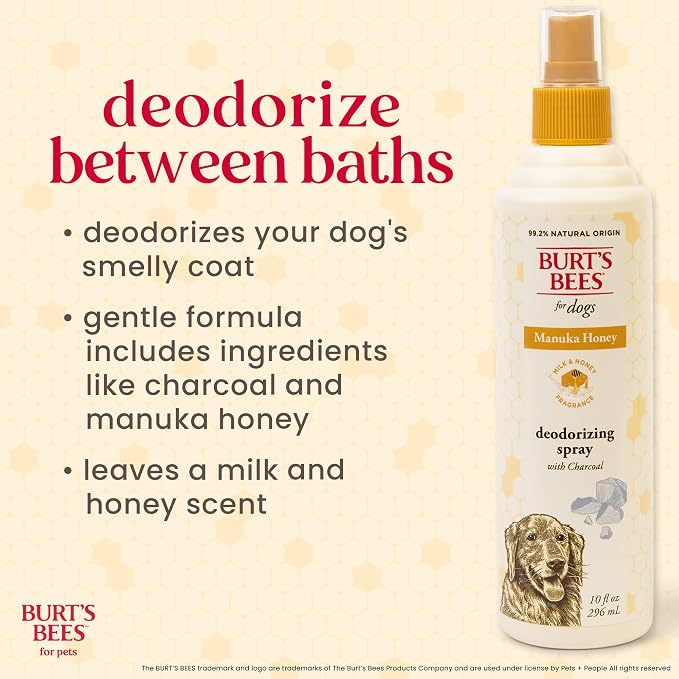 BURT'S BEES FOR PETS Deodorizing Spray for Dogs, Manuka Honey & Charcoal, Reduces Odor Between Baths, 95%+ Natural Origin, No Artificial Fragrance, Sulfates or Colorants, Milk & Honey Scent, 10 Fl Oz