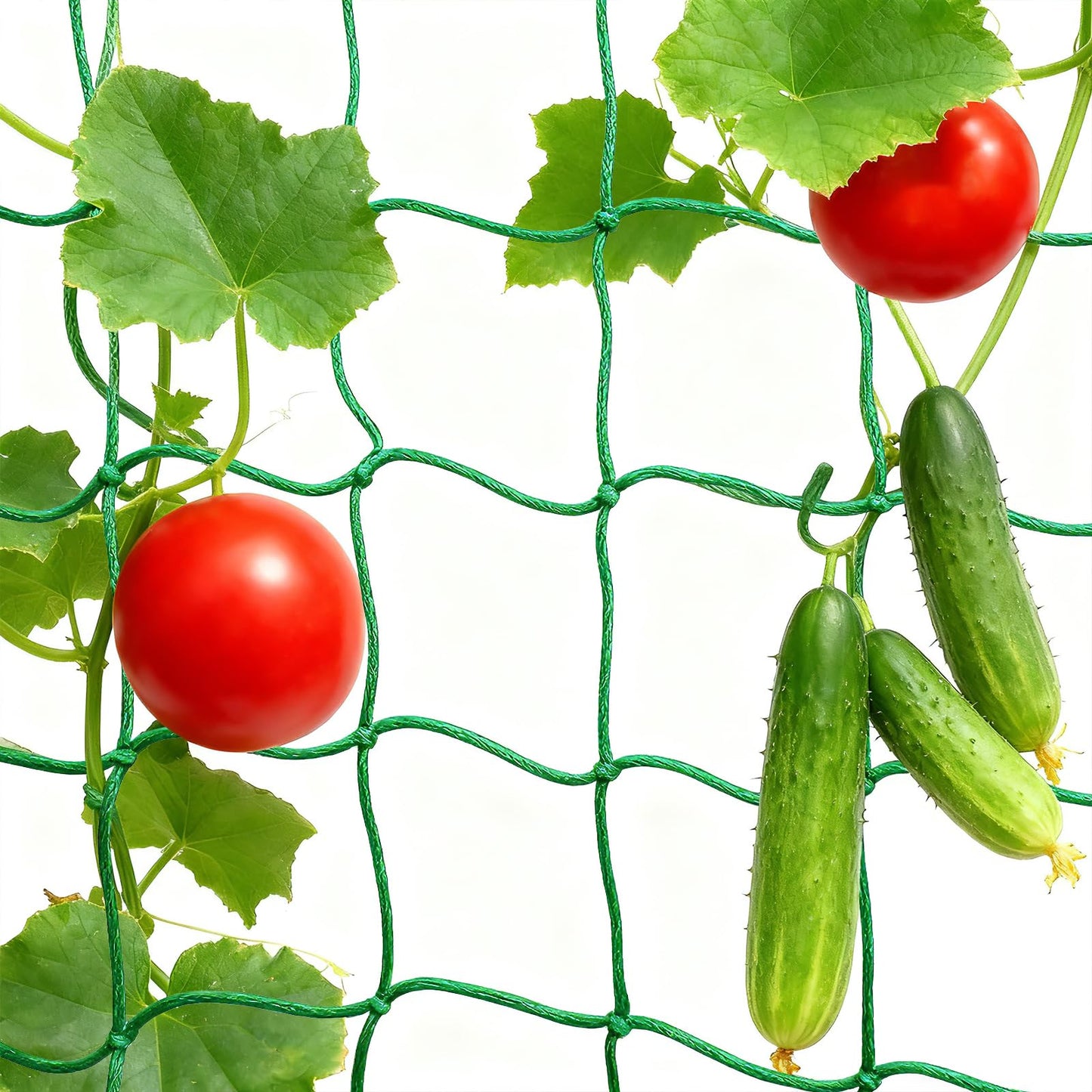 COZYDIG 6.6x16.4FT Trellis Netting for Climbing Plants,Trellis Netting with Plant Clips, Heavy-Duty PE Trellis Net for Cucumber, Tomato, Vegetables, Fruits, Sweet Pea Plants