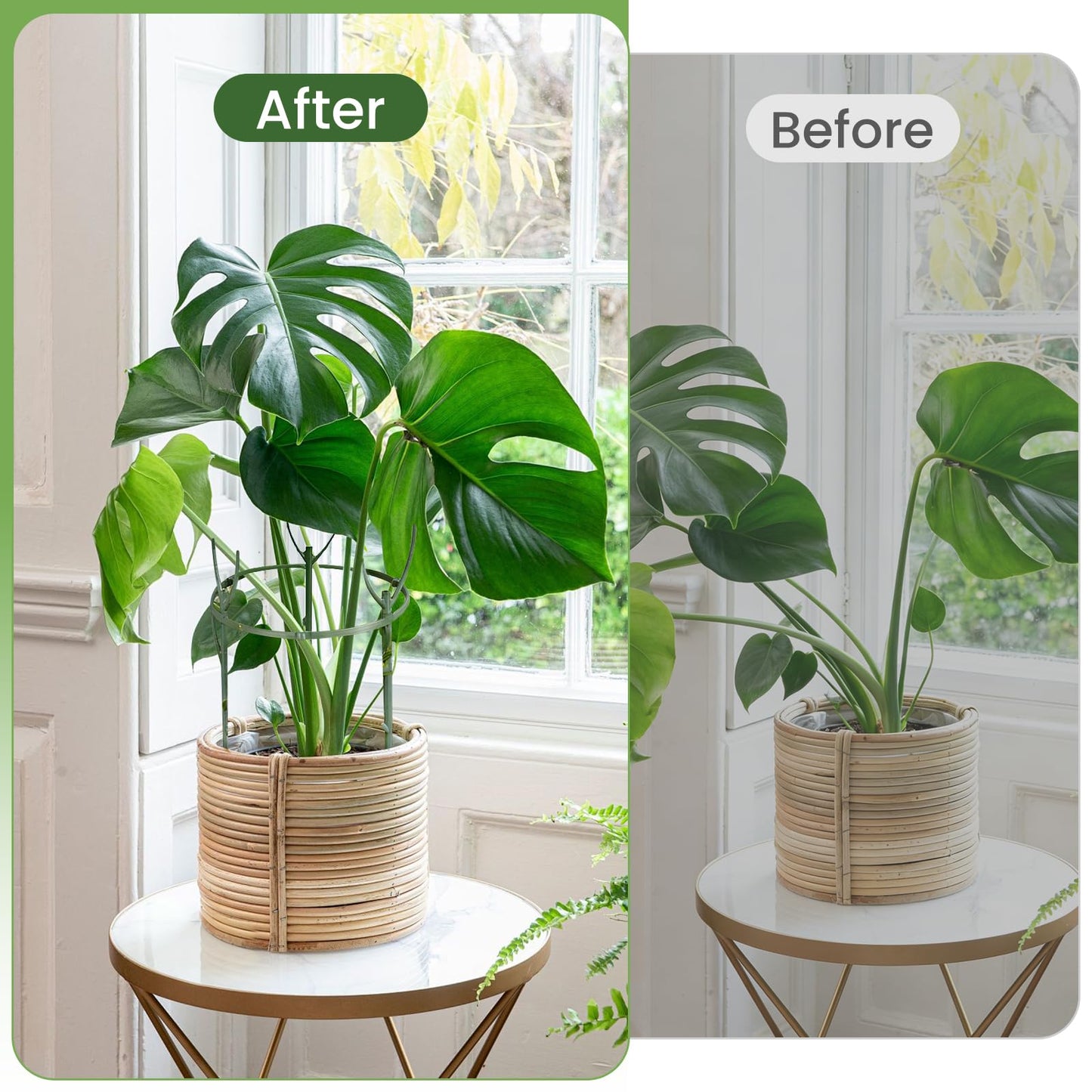 15 Pcs Stackable Plant Support Stakes, 11 Inch Garden Stakes with 2 Velcro Ties, 20 Plant Clips & 65ft Garden Twist Tie Indoor Outdoor Plant Sticks Monstera Accessories for Climbing & Potted Plants
