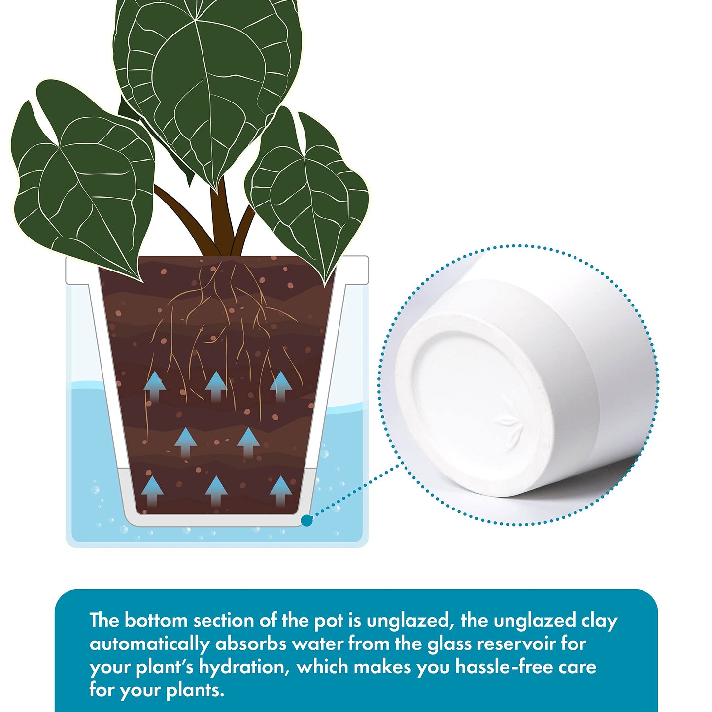 D'vine Dev 6 Inch Design Self Watering Planter for Indoor Plants, White Terracotta Pots with Cylinder Glass Cup, Set of 2, 37-Y-B-2
