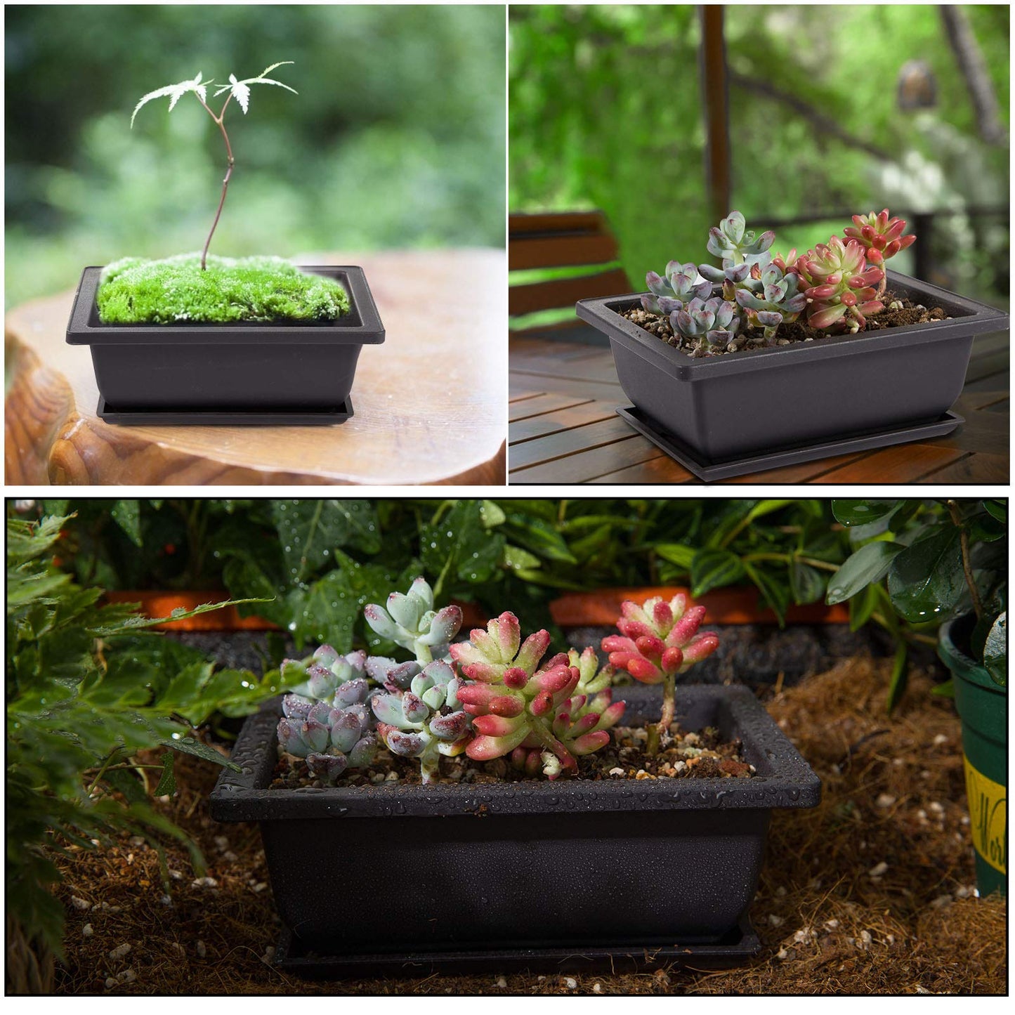 PAMASE 8 Packs Bonsai Training Pot with Humidity Tray - 6.5in & 9in Training Nursery Pots Kit, Plastic Plants Growing Planter with Drainage Tray, Indoor Succulents Decor Garden