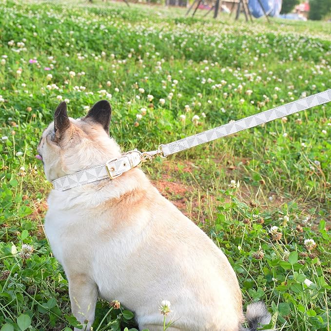 Leather Dog Collar and Leash Set, Check Pattern Dog Collar Leashes Metal Buckle Adjustable Durable for Small Medium Large Dogs (White, XL(18-22IN))