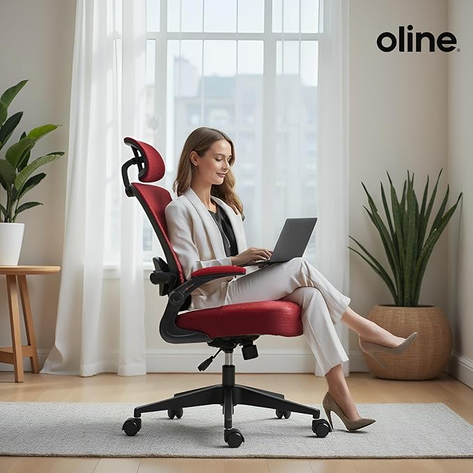 Oline ErgoAir Ergonomic Office Chair – Adjustable Lumbar Support, Flip-Up