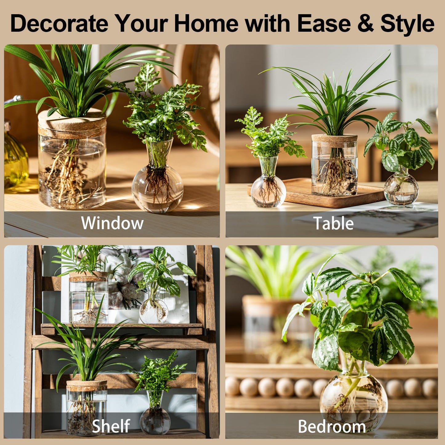 Plant Propagation Stations, 2 Style Glass Planter Terrariums, Propagation Vases for Plant, Plant Propagation Jars for Hydroponic Planter Home Office Tabletop Decoration (6)
