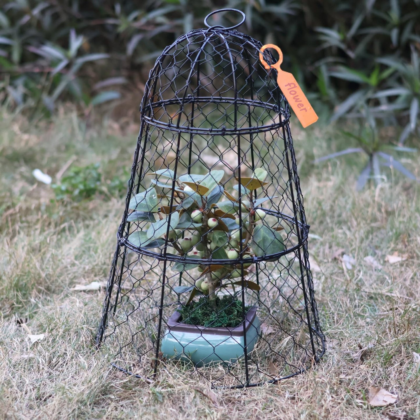 XMxoTxo 6 Packs 11.4" D x 17.7" H Garden Cloches for Plants,Upgraded Triple Combination,Rustproof Chicken Wire Cloches Flip-Top Design,Plant Protectors from Animals,Ideal for Outdoor Plant Protection