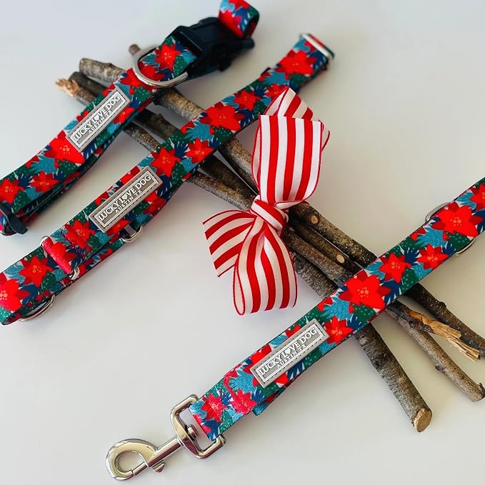 Lucky Love Dog - Easy Click Noel Dog Collar with Leash Set Combo, Durable & Comfortable for Male & Female Dogs, Pet Collar for Small Dogs, Secure Fit - Noel Combo, Small