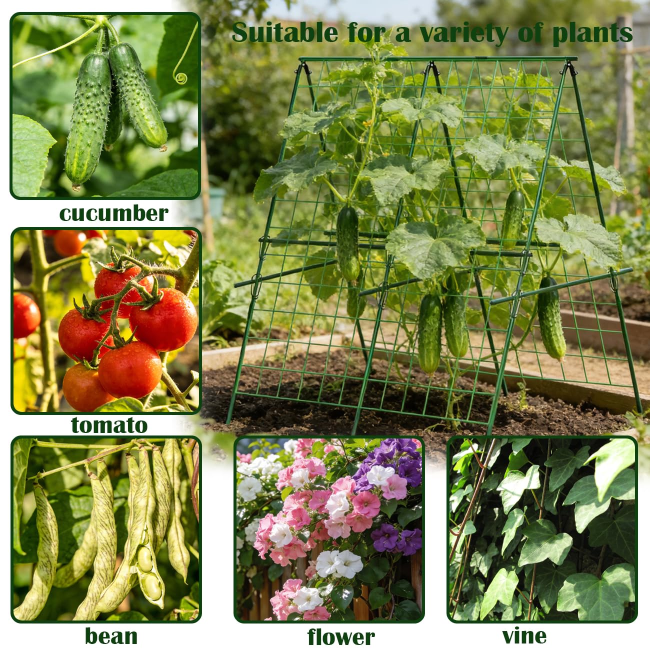 Cucumber Trellis, A-Frame Sturdy Garden Trellis for Raised Bed, Plant Support for Climbing, Plant Trellis for Bean Pea Rose Vine Plants, Plant Grow Support for Outdoor Raised Bed