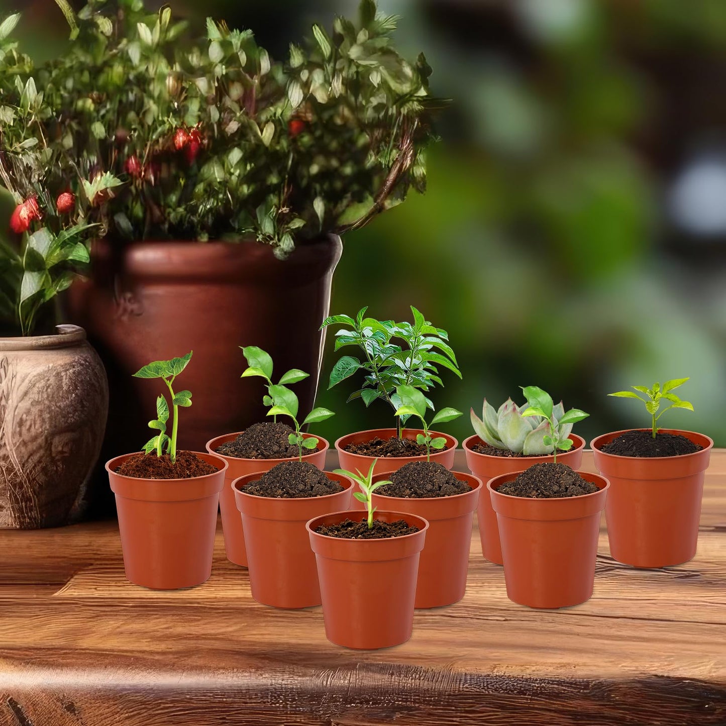 RXLWYUNLAE 120 Pcs 2 Inch Red Mini Nursery Pots for Plants, Plastic Seedling Red Plant Pots with Drainage Holes, Seed Starting Trays for Various Seeds Indoor & Outdoor Flower Planters