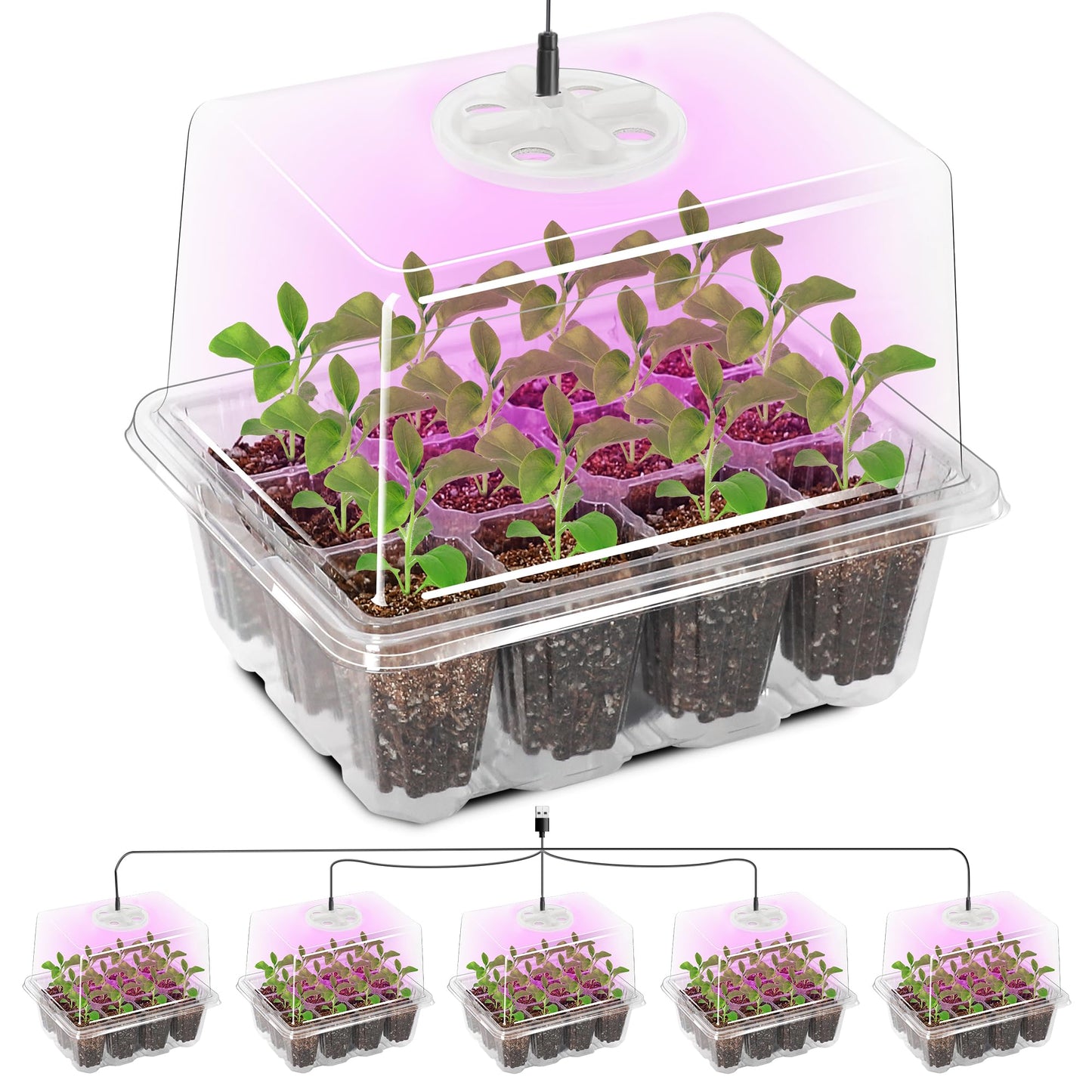 The Bundle of Bonviee 5 Packs Seed Starter Tray with Grow Light and 36 Packs Variety Sizes Clear Nursery Pots