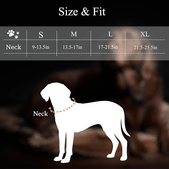 MagEase Dog Collar with 4FT Leash | Adjustable | Anti-Wrinkle, Bite & Stain-Resistant Leather | Soft & Skin-Friendly | 450LB Escape-Proof Magnetic Buckle (Light Blue, Small)