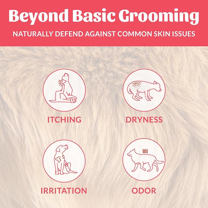 Skout's Honor Probiotic Dog Shampoo & Conditioner with Avocado Oil & Omega-3s, 97% Natural, Paraben & Sulfate-Free, Cruelty-Free, 16oz, Sunkissed Coconut, 2-Pack