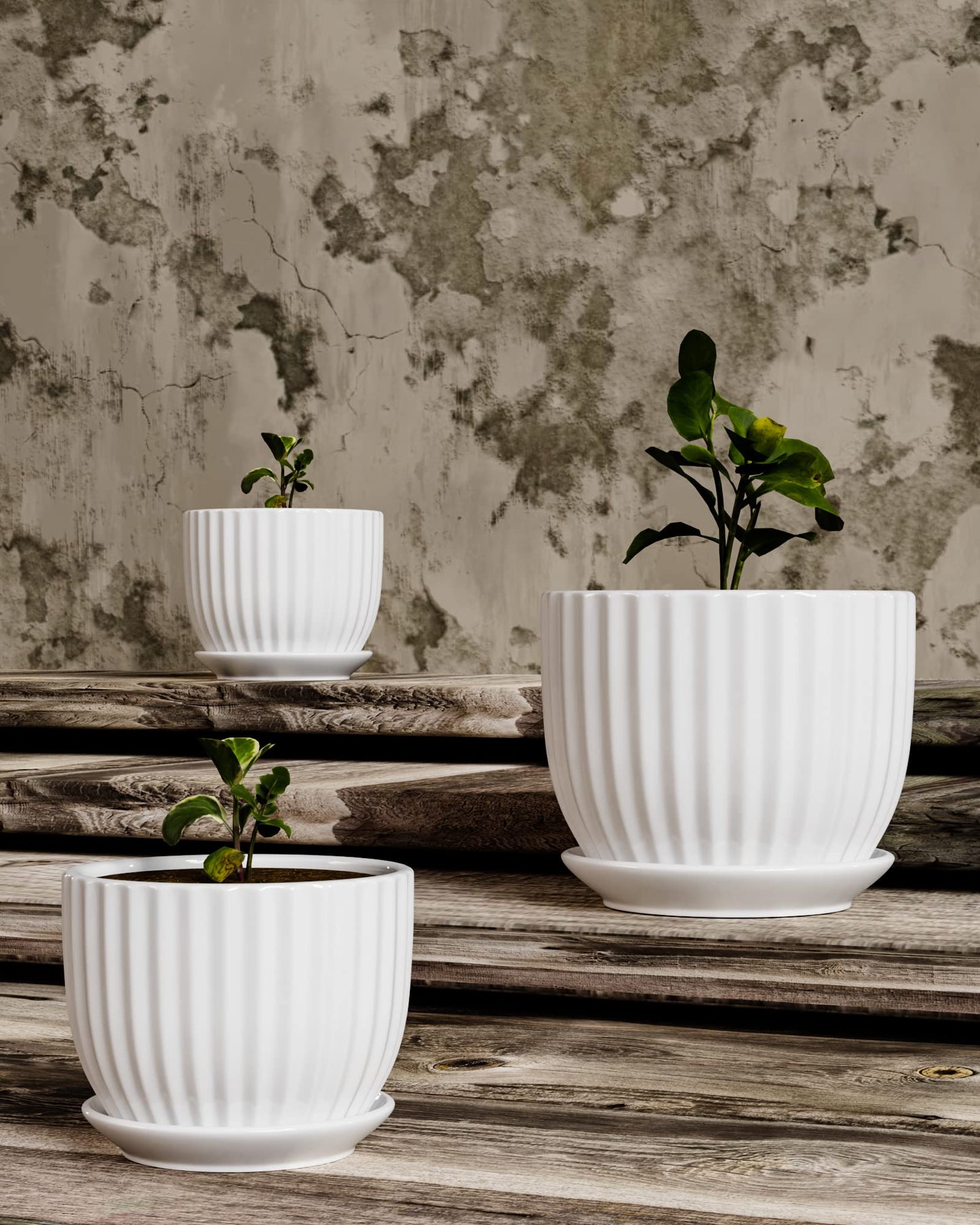 Ton Sin White Plant Pots Set of 3,Indoor Ceramic Flower Pot with Saucers,6.7"&5.5"&3.9" Inch Small to Medium Sized Planters for Plants,Round Modern Garden Pots