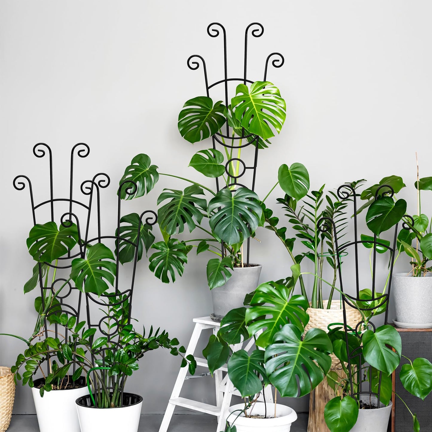 32.6in Monstera Plant Support Stakes for Indoor Plants, Metal Garden Plant Trellis for Climbing Plants, Pothos Vine Snake Climber Support，4p