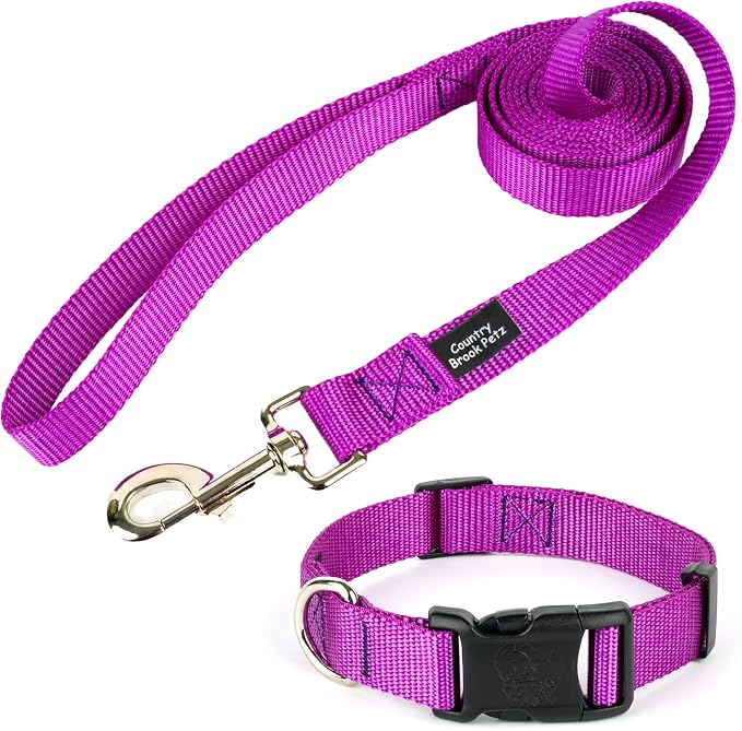 Country Brook Petz - Everyday Nylon Dog Collar and Leash - 10+ Cool Colors (1 Inch, Large, Bright Purple)