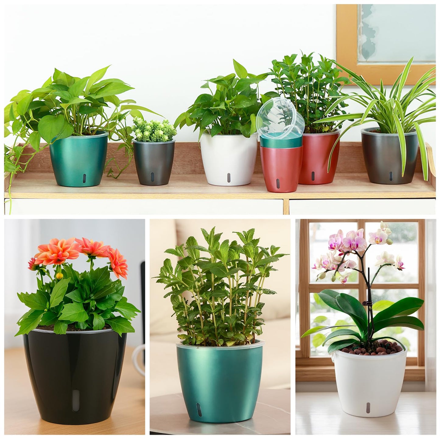 KvyusFlourish Self Watering Pots for Indoor Plants, 6-Pack 5'' Self Watering Planter with Drainage Holes, Small African Violet Pots with Water Indicator, Clear Wick Orchid Pot, White