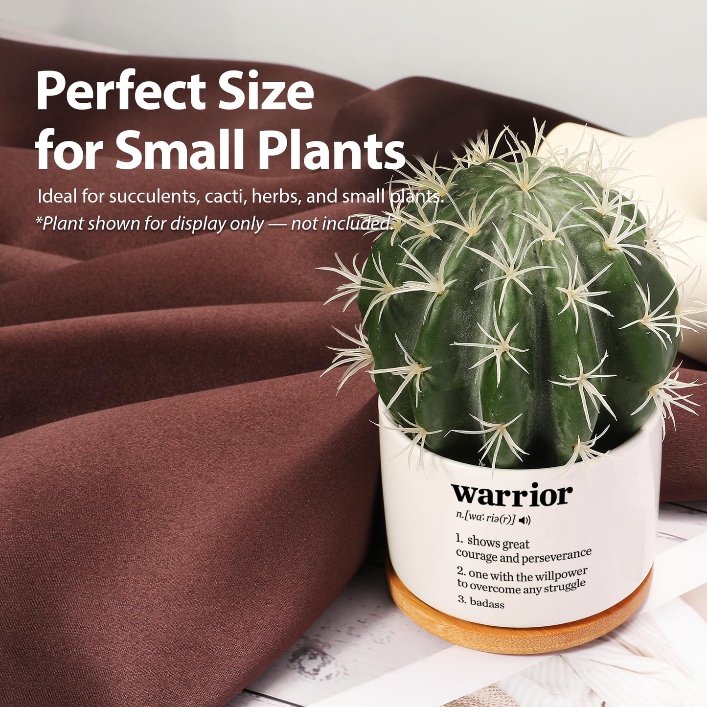 Warrior Definition Inspirational Gifts Ceramic Succulent Plant Pot with Bamboo Tray Round Motivational Encouragement Gifts Cancer Survivor Sobriety Home Decor Plant Lover 3.5 Inch White (No Plants)