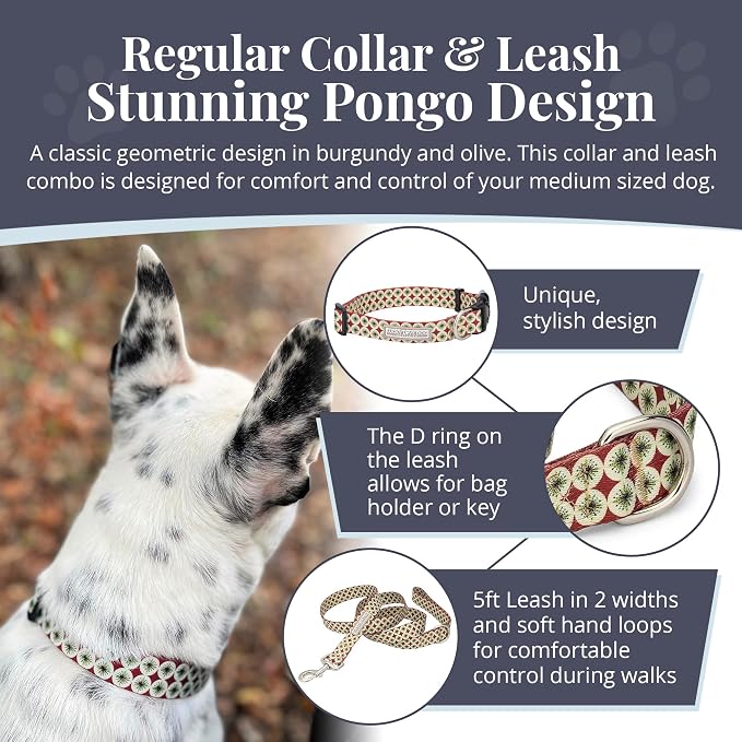 Lucky Love Dog - Easy Click Buckle Dog Collar with Leash Set Combo, Durable & Comfortable for Male & Female Dogs, Pet Collar for Small Dogs, Secure Fit - Pongo Combo, XS