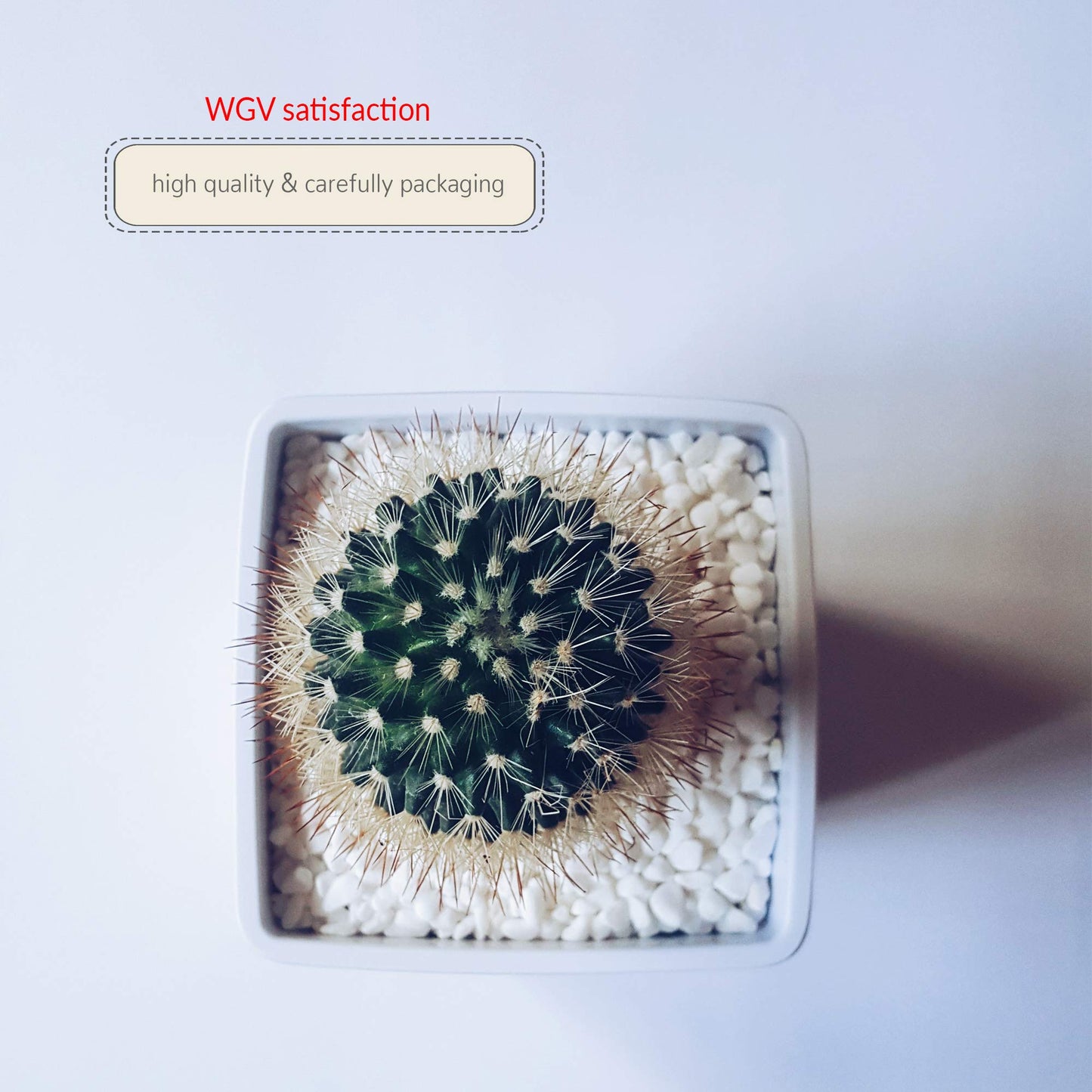WGVI WGV Ceramic Cube Vase Width 4" Height 4" (Fits 3" Pot) Elegant Modern Block Square Floral Planter Terrarium Container Table Dresser for Event Accent Home Office Decor White 1 Piece (Pack of 4)