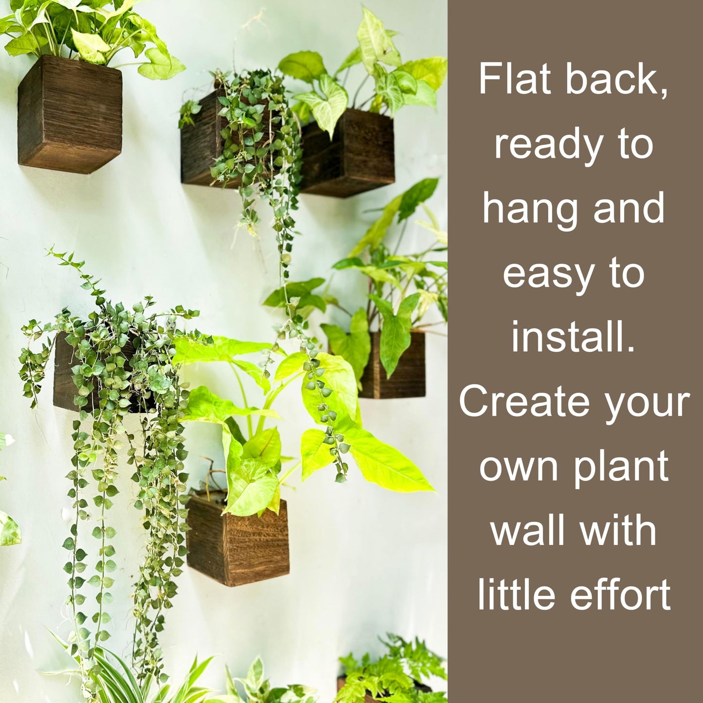 LaLaGreen Wood Planter Boxes for Indoor Plants (4x4 Inch, 6 Pack) Small Square Wall Mounted Planters Flower Pot, Herb Wooden Box Hanging Plant Holder Outdoor Balcony Vertical Garden Modern Home Decor