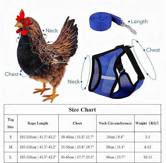 3 Pack Chicken Harness and Leash Set Adjustable Hen Vest with Matching Belt Breathable Mesh Training Harness Pets Leash for Hens Duck Goose Small Pet-Green&Purple&Blue,M