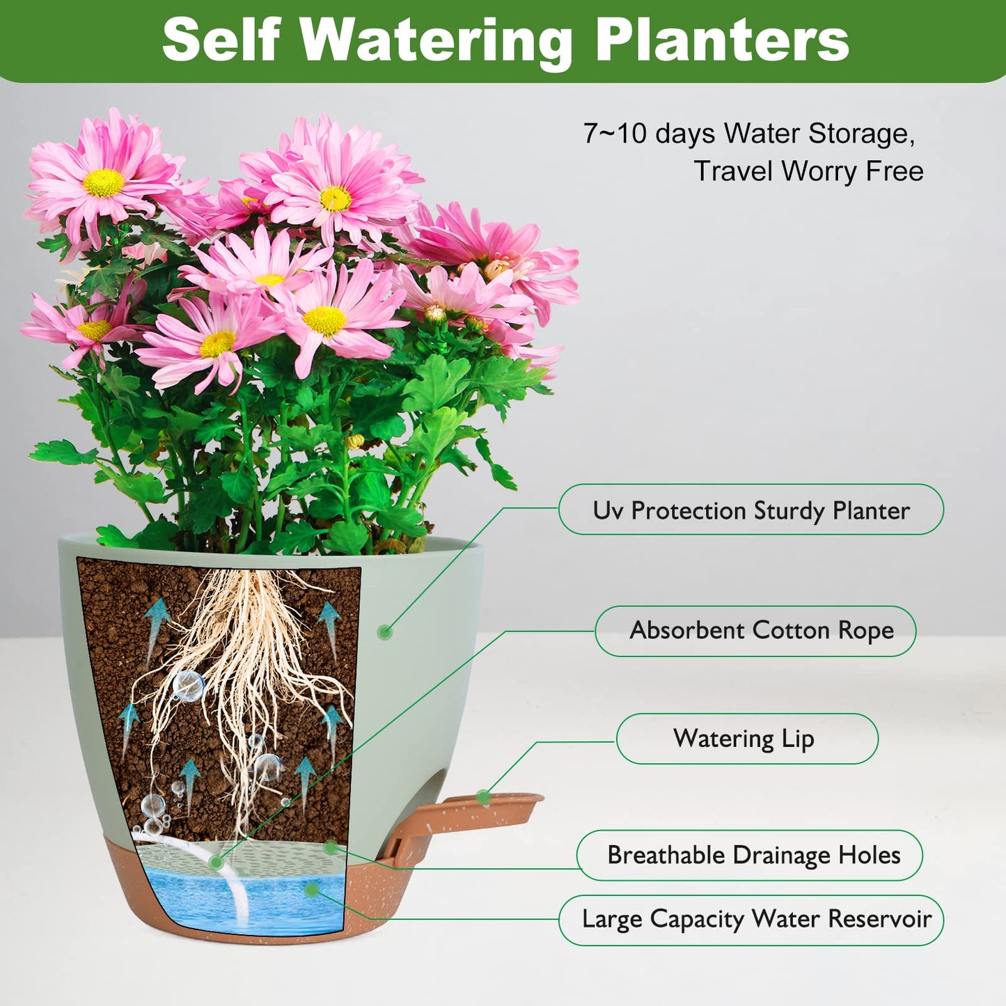 Vanslogreen Plant Pots Indoor 7/6.5/6/5.5/5 Inch Self Watering Planters for Indoor Plants with Drainage Hole, Plastic Flower Pots for Succulents, African Violet (Green)
