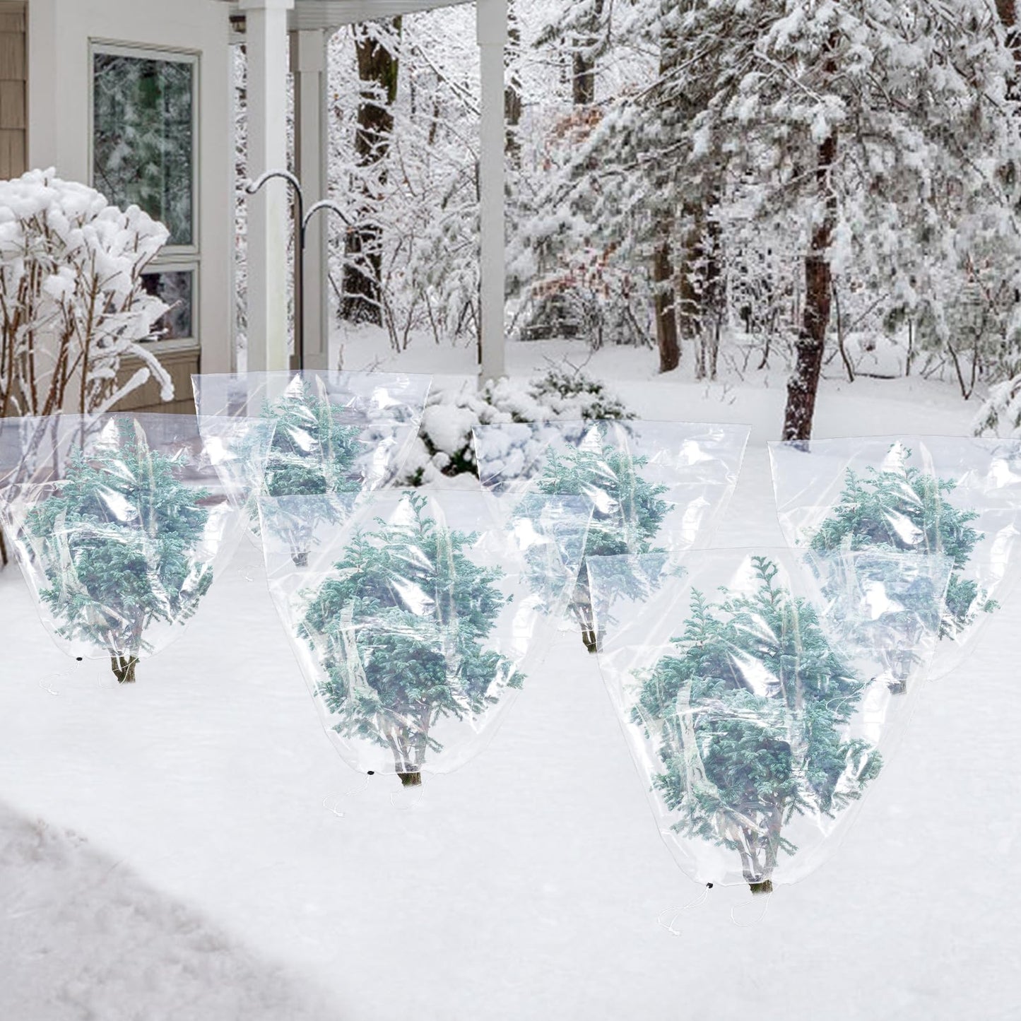 6 Pcs Winter Plant Cover Freeze Protection - 39" x 39" Plastic Plant Frost Bags with Drawstring, Transparent Waterproof Plant Shelter Coverings for Outdoors Garden Plants Shrubs Sapling Bushes