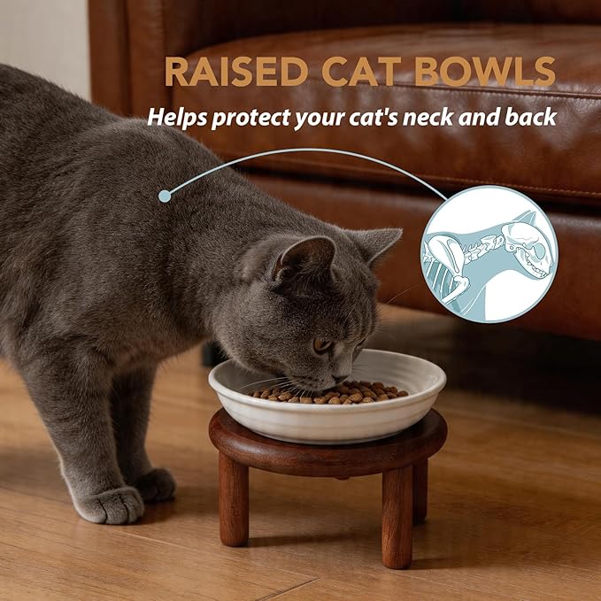 Havniva Elevated Cat Bowls Raised Ceramic Cat Bowl, 5.7” Wide Opening Cat Food Bowl Whisker Friendly Cat Dish Anti-Slip with Wood Stand, Shallow Pet Food & Water Bowl for Indoor Cats