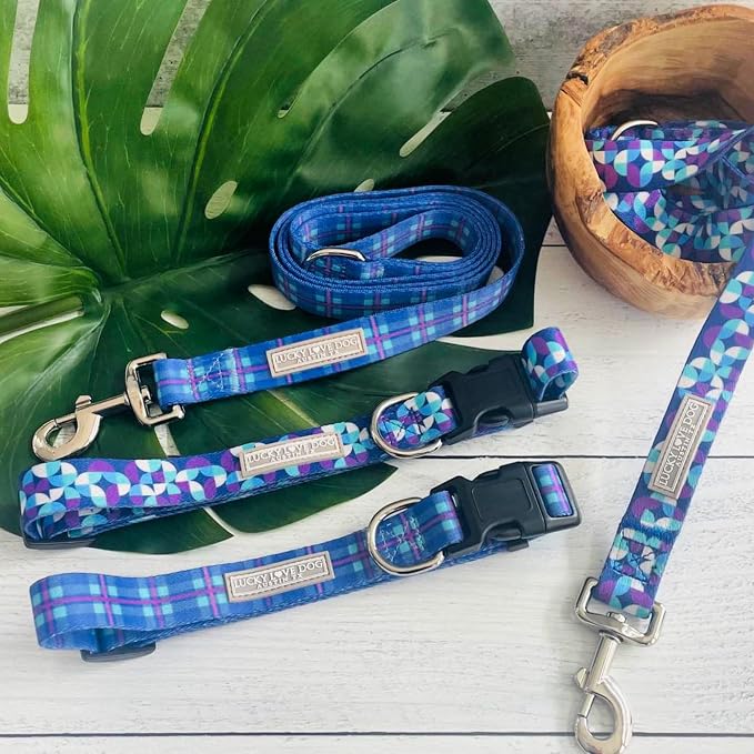 Lucky Love Dog - Adjustable Dog Collar and Leash Set with Easy Click Buckle for Large Dogs, Durable, & Comfortable Collar for Male & Female Dogs, Puppies & Adult Ones - Jasper Combo, XL