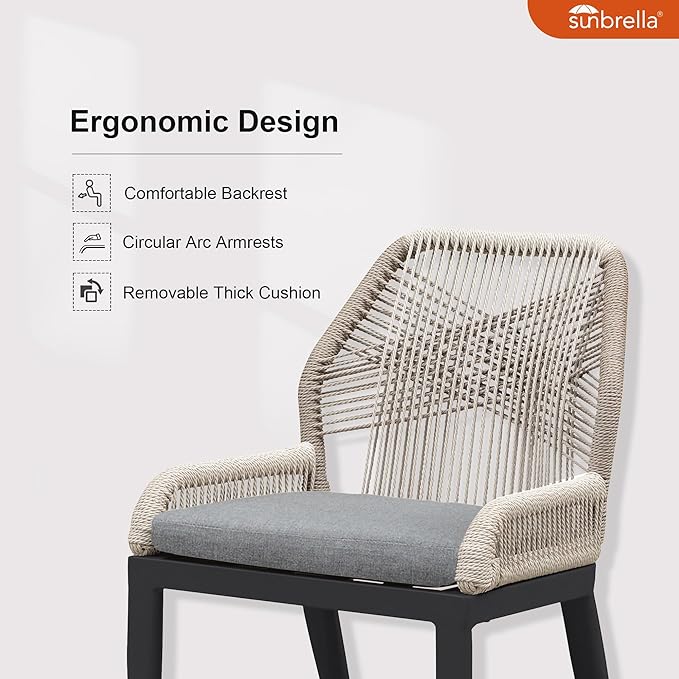 PURPLE LEAF Patio Dining Chair Set 2 Pieces Aluminum Modern Furniture Seating