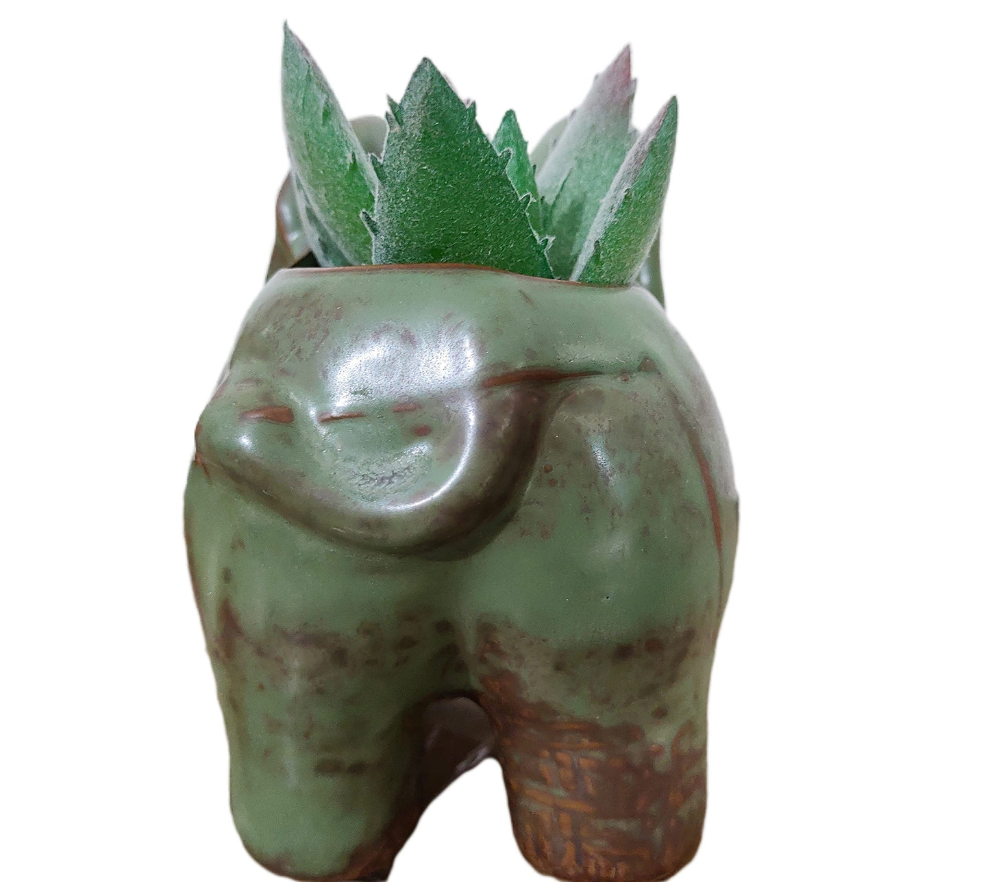 Everyday Better Life Cute Cartoon Animal Elephant Ceramic Succulent Cactus Flower Pot/Plant Pots/Planter/Container for Home Garden Office Desktop Decoration (Green)