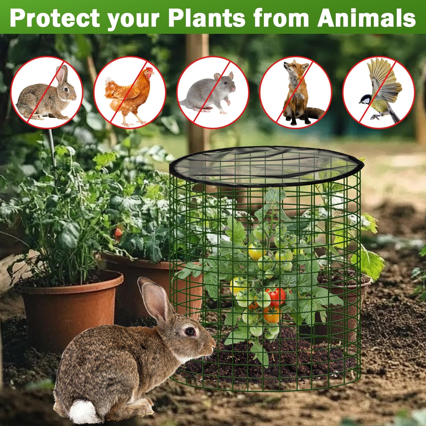 Plant Protector from Animals with Detachable Covers - 4 Pack 16”x 16" Wire Cage Cloches with Ground Stakes and Tools for Protecting Vegetable, Flower, Seedling